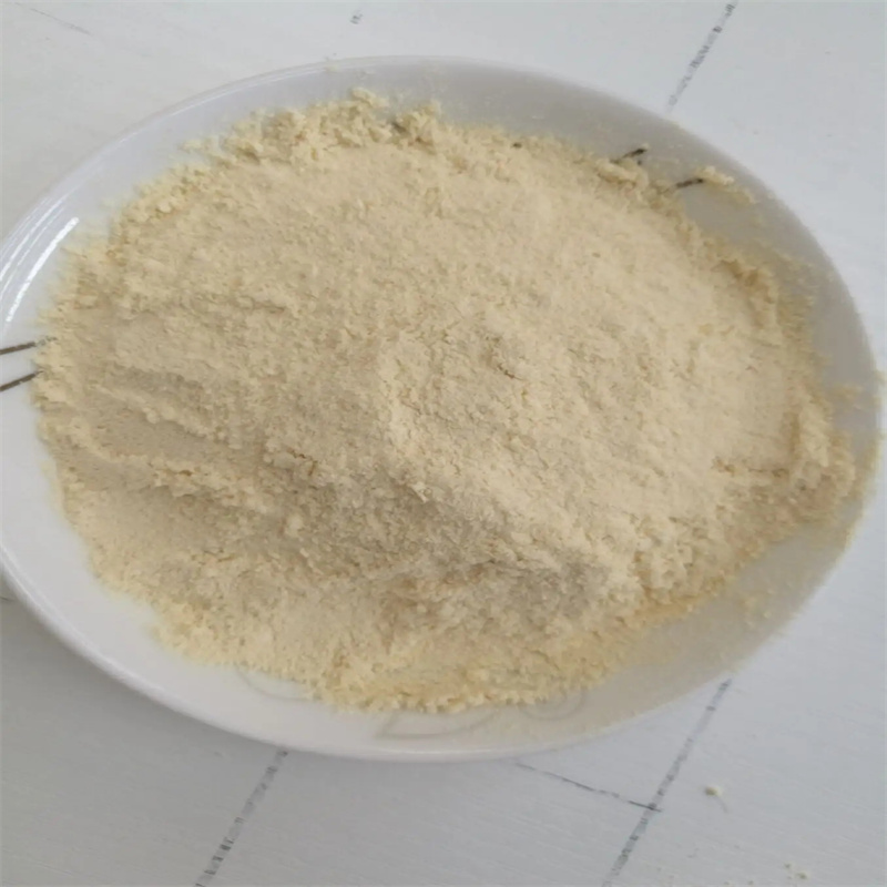 Xanthan gum CAS 11138-66-2